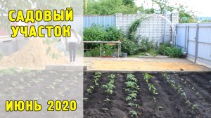 ОБЗОР садового участка в июне / 2020 год
