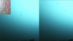 Как играет ваша блесна? Большой тест игры блесны на глубине!