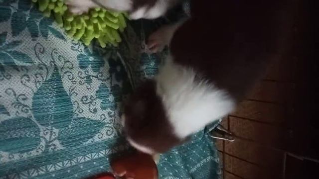 Пробуждение после тихого часа смотреть онлайн