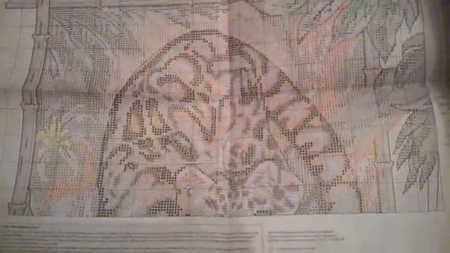 Обзор наборы для вышивки крестом Панна "Дымчатый леопард" смотреть онлайн