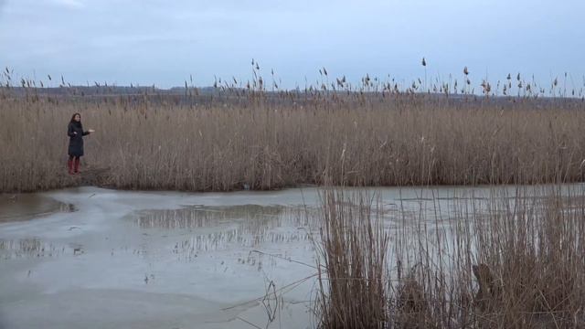 Помощь пришла смотреть онлайн