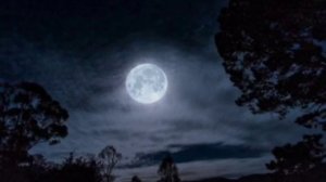 Стихотворение А.А. Фета "Ещё майская ночь"