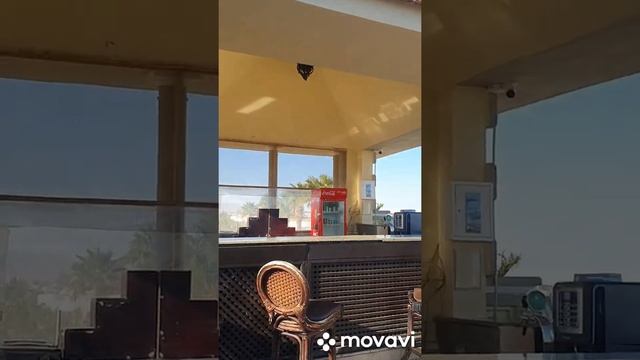 С Борисполя( Украина) до Египта. смотреть онлайн