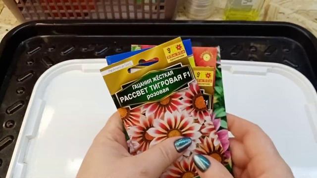 ?Яркое солнышко на участке-красавица-гацания.?Посев семян на рассаду. смотреть онлайн