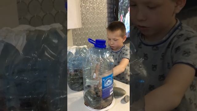 Карев Захар. Рекомендации по содержанию лягушек и ящериц в домашних условиях смотреть онлайн