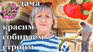 Дача.Дел Много.Огород Преображается.Строим Красим Собираем.Орск .Июнь 2024