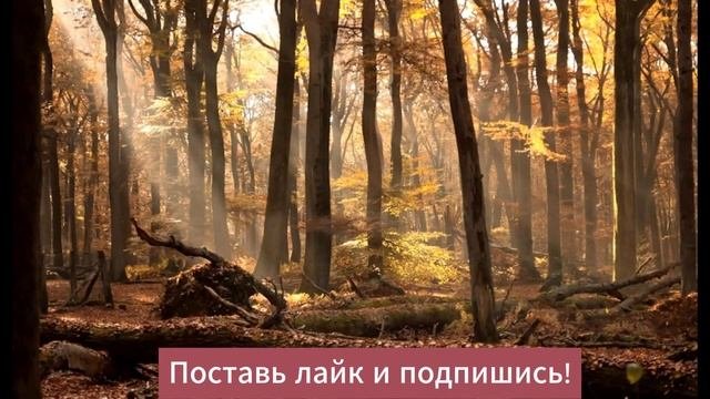 Истории из жизни❤️? Жизненные истории❤️?Интересные истории❤️?Душевные истории ❤️? 