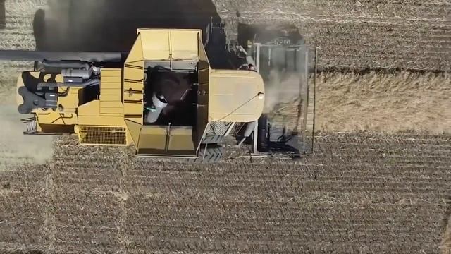 Что, если исчезнут все насекомые смотреть онлайн