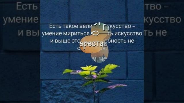 ✔️ МУДРЫЕ МЫСЛИ ПОЛЕЗНЫЕ ЦИТАТЫ ДЛЯ ВСЕХ И КАЖДОГО 🍀