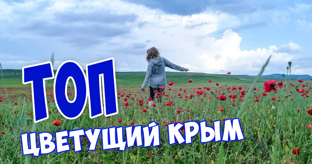 ТОП ЦВЕТЕНИЙ в Крыму смотреть онлайн