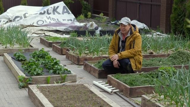 органическое или минеральное земледелие что выбрать и сколько нужно мульчи
