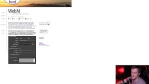 Оптимизация источников медиа в OBS. WebM плагин