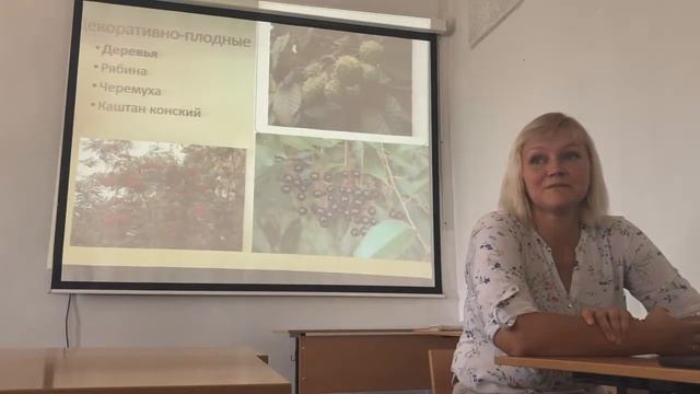 Водяник Ирина. Озеленение двора в южном городе