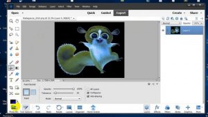 Adobe Photoshop Elements 2023||setting all tool preview