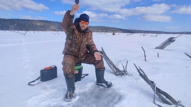 Последний лёд.Рыбалка в коряжнике на палец.На машинах по льду.Окунь проснулся после зимней спячки. смотреть онлайн