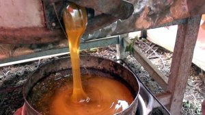 Пасека 2013 (качка мёда)