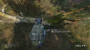 DayZ 1.03 Крафт деревянного ящика