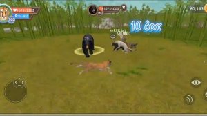 •|Все боссы WildCraft|• ?открываем сундуки?