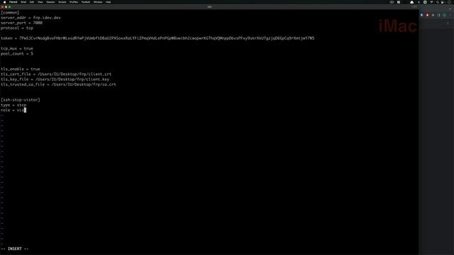 FRP内网穿透 第二讲 | FRP应用案例分享|通过FRP简单暴露内网服务到公网环境 | TCP(SSH、远程桌面、WEB)、UDP、HTTP、HTTPS、 STCP(隐秘穿透)、常用插件 смотреть онлайн