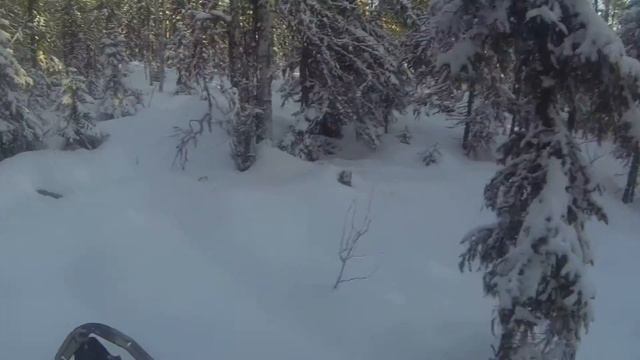 на Буране по лесу.... смотреть онлайн