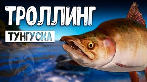 РР4/ рыбалка для души, ловим как универсал, общаемся 31.03.24
