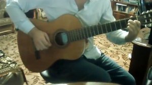 Battletoads & Double Dragon На гитаре  акустика