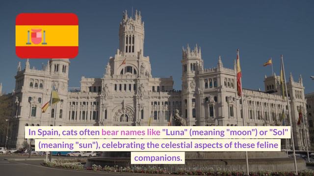 Cat Names Around the World  #cats #catlover #pets #catnames