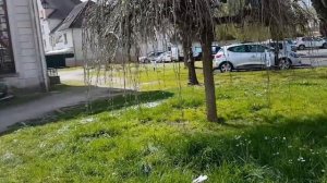 ФРАНЦУЗСКИЙ СВЕКОР, ЗНАКОМТЕСЬ//ПОМОЙКА/ОЧЕНЬ СТРАШНО/Svetlana ФРАНЦИЯ