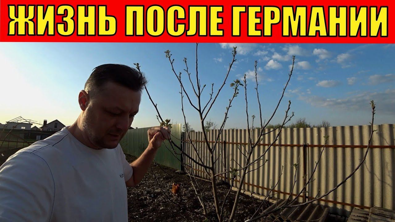 Жизнь переселенцев из Германии