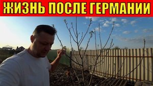 Жизнь переселенцев из Германии