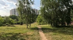 Проводив мужа, Кира случайно приняла свекровь из деревни за горничную… А едва мать богача ответила