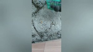 Гриб лисичка из цемента своими руками,DIY