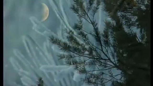 Н. Красильникова 2