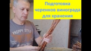 Как сохранить виноградные черенки до весны???