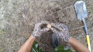 Выбитое Бывшее Поместье. Приморский край. Приборный поиск-коп.