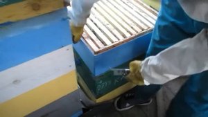 Разделительные решетки для пчел ЗА и ПРОТИВ