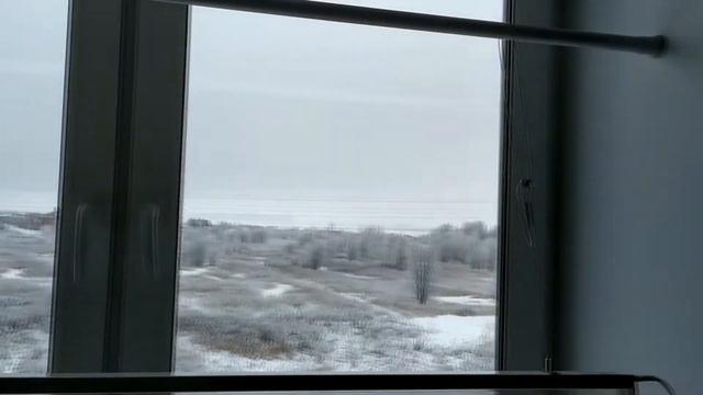 ФИТОЛАМПА ДЛЯ РАССАДЫ Обзор фитолампы VLOG с подоконника