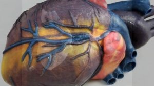 ComeTrue T10 3D Printer Introduction-Binder jetting-Microjet Taiwan