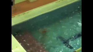 Видео-презентация "Как в действительности тонут люди"