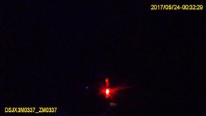 Задержание полицией хулигана