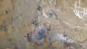 Лодка Сарепта на что обращать внимание при покупке часть 1