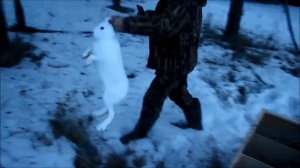 "Бери гончатник гончих на охоту".