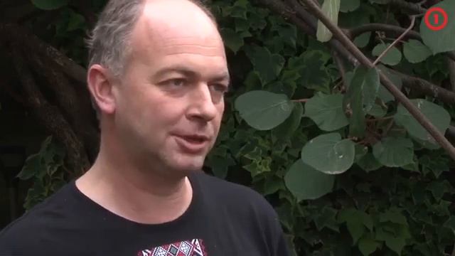 сбор урожая киви смотреть онлайн