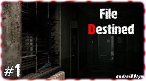 File Destined. Прохождение 1 (21.02.2024)