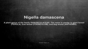 Medical vocabulary: What does Nigella damascena mean