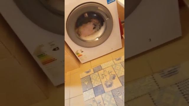 стиральная машина beko Бережная 40 ° 600 оборотов