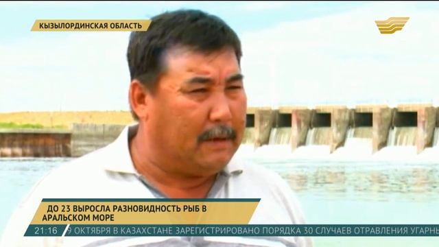 В Аральское море вернулась краснокнижная марена смотреть онлайн