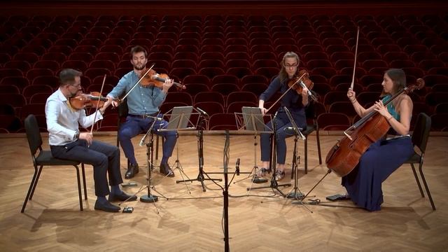 Jean-Paul Dessy: Tuor Qua Tuor - Tana Quartet - LIVE смотреть онлайн