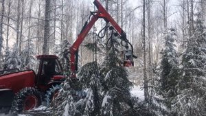 Новый харвестер Nisula N6e с валочно-пакетирующей головкой  Nisula 335E+