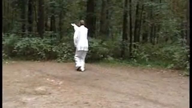Синъицюань, Усин цюань. Xingyiquan (形意拳), wŭxíng quan (五行拳)